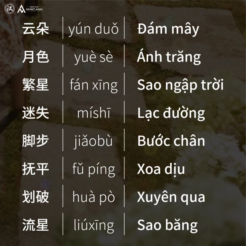 Trung Tâm Đào Tạo Tiếng Trung